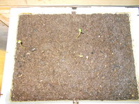 DSCN0755.JPG (408.41 KiB) 5268 mal betrachtet da ist Geduld gefragt