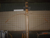 Auszug 20&quot;