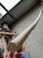Holler1 (Mittel).jpg