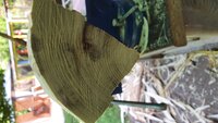 Genug Material um ggf weiter runter zu gehen (?)