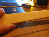 Nadeln1 (Mittel).jpg