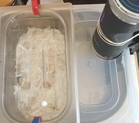 Sehnen im Wasserbad Wasserbad mit Sous-Vide-Stick erhitzt
