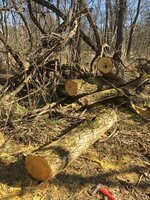 IMG_2821.JPG