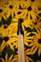 DSC08706.JPG