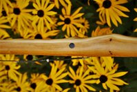 DSC08707.JPG