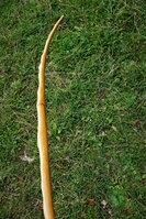 DSC08715.JPG