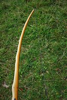 DSC08716.JPG