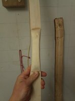IMG-20211104-WA0005.jpg