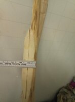 IMG-20211104-WA0003.jpg