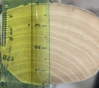 IMG_1641_2.jpg (637.97 KiB) 4368 mal betrachtet Gruppe 1: Esche