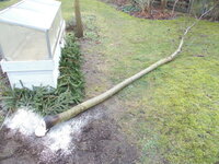 mal rasch mit der Kettensäge abgesägt