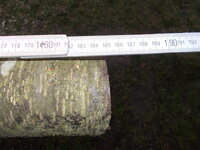 fast schon ein wenig kurz, wollte eigentlich meine<br />Körpergröße