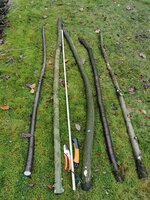 Ernte TraubenkirscheHartriegel Pfaffe Schwarz- Weißdorn.jpg