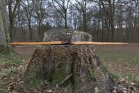 Bauchansicht gesamt