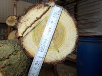 knapp unter die 10cm Durchmesser