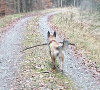 Dea  will auch einen Bogen bauen