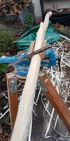 entrindet mit einem stumpfen, alten Messer
