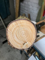 elm_anschnitt.jpg