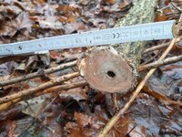 20220104_131132.jpg (201.95 KiB) 8389 mal betrachtet Anschnitt oben, hab mindestens eine Ameise obdachlos gemacht, die im leeren Markkanal wohnhaft war.
