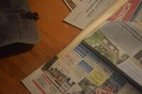 hasel16.jpg