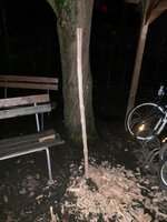 20220105_171630.jpg (270.48 KiB) 8284 mal betrachtet auf +/- 5 cm Breite reduziert. Die Späne des gestrigen Tages und der Spanerzeuger