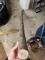 IMG_20220106_100529_compress38.jpg (432.59 KiB) 4517 mal betrachtet Reflexe Seite ist voller Knoten