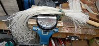 25 g Sehnen fertig zerfleddert