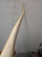 D Profil grob rausgearbeitet