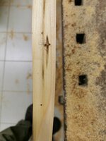 Stellenweise tauchen gelbe Verfärbungen auf. Hoffentlich beeinträchtigen die nicht die Holzqualität