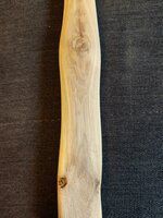 Diverse Äste, alle schlafend...