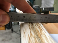 3redoak-ruecken.jpg (1.57 MiB) 5143 mal betrachtet Schlecht zu fotografieren, manche Furchen sind v-förmig.