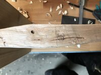 7CBC3EA0-C7C5-4C27-8B83-077D2A01453E.jpeg (1.91 MiB) 5093 mal betrachtet Auf dem Bauch