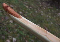 Tip im Detail
