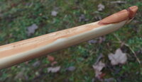 Tip im Detail