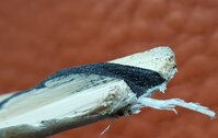Bruchstelle02.jpg (1.9 MiB) 7293 mal betrachtet Detail von der Bruchstelle