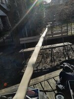 shiny in the sun