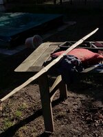 20220205_141016.jpg (308.46 KiB) 8026 mal betrachtet noch ein Sonnenbild. Wer weiß wann die wieder mal scheint