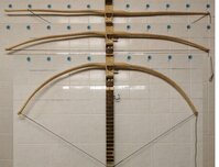 8.2.2022 Schwarzdorn 1.1.jpg