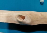 8.2.2022 Ulme 1.2.jpg (224.95 KiB) 1612 mal betrachtet Der Knast