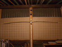 DSCN1009.JPG