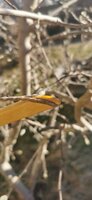IMG_20220210_094735.jpg