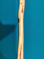 10.2.2022 Schwarzdorn.jpg