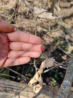 IMG_20220326_100624_compress43.jpg