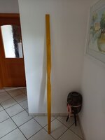 IMG-20220609-WA0004.jpg