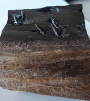 Eiseneibe Nägel.jpg