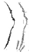 08.jpg (342.05 KiB) 6703 mal betrachtet Quelle: "Scythian Archers of the 4th Century BC", Marina Daragan
