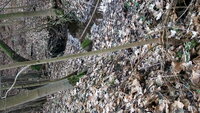 DSCF2969.JPG