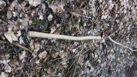DSCF2970.JPG