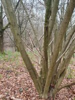 20230101_104338 - Kopiert - Kopie-min.jpg