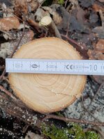 20230102_101714.jpg (570.49 KiB) 7038 mal betrachtet Querschnitt am dicken Ende